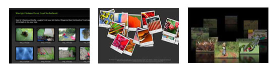 templates for picasa